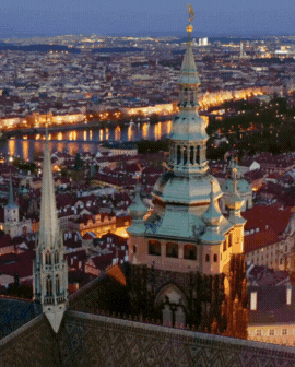 3 slide gif video highlighting South Africa, including a marina with boats, people taking in the mountain view on a hike, and a person on a scenic walk.