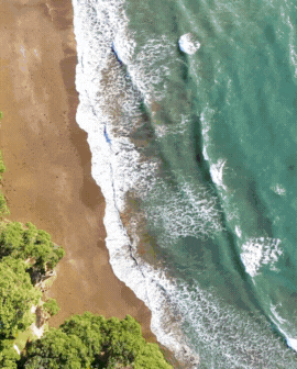 3 slide gif video highlighting New Zealand, including a beach, purple flowers next to a lake, and a mountain scene.