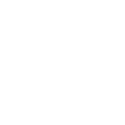 Boulder skin bar logo