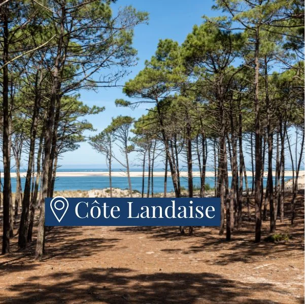 C&ocirc;te Landaise