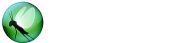 Locust Locust
