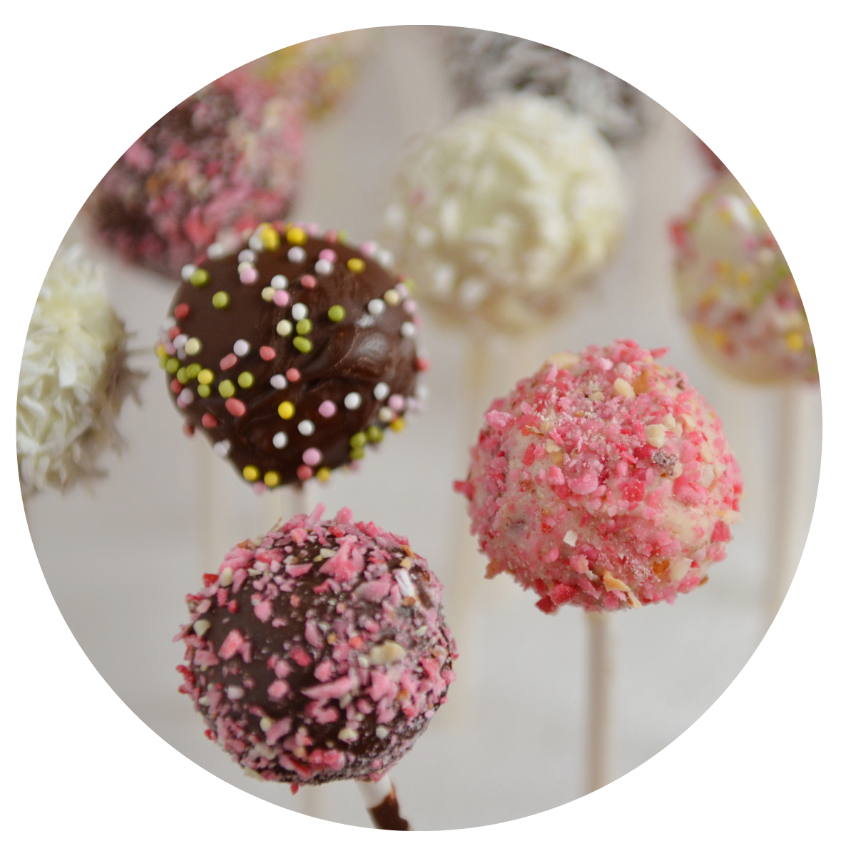 Uczestnicy kolonii z lornetkami podczas zajęć terenowych.